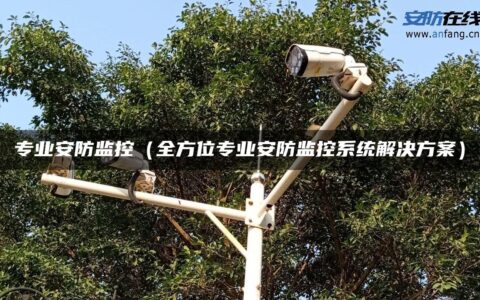 专业安防监控（全方位专业安防监控系统解决方案）