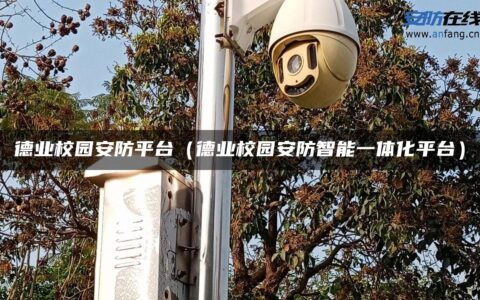 德业校园安防平台（德业校园安防智能一体化平台）
