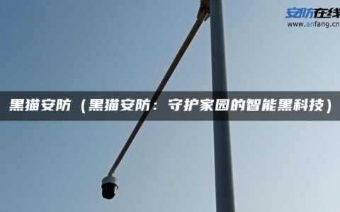黑猫安防（黑猫安防：守护家园的智能黑科技）