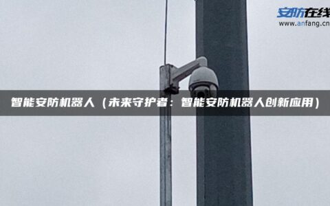 智能安防机器人（未来守护者：智能安防机器人创新应用）