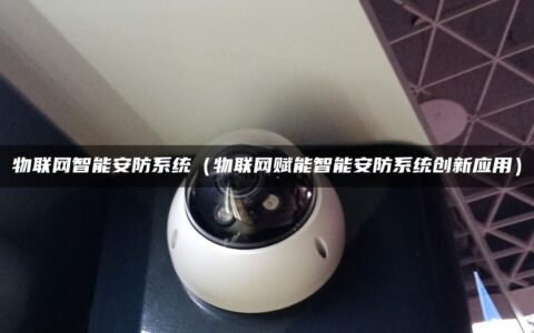 物联网智能安防系统（物联网赋能智能安防系统创新应用）