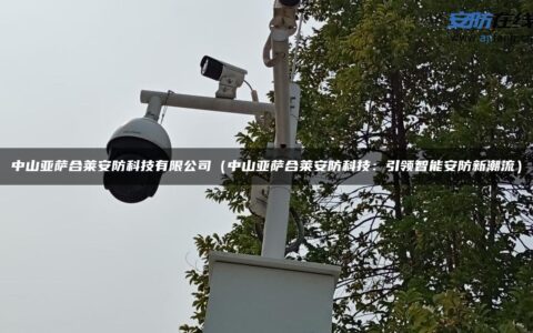中山亚萨合莱安防科技有限公司（中山亚萨合莱安防科技：引领智能安防新潮流）