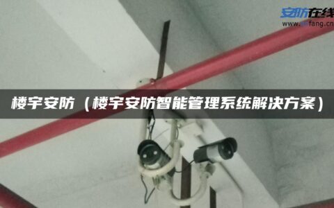 楼宇安防（楼宇安防智能管理系统解决方案）