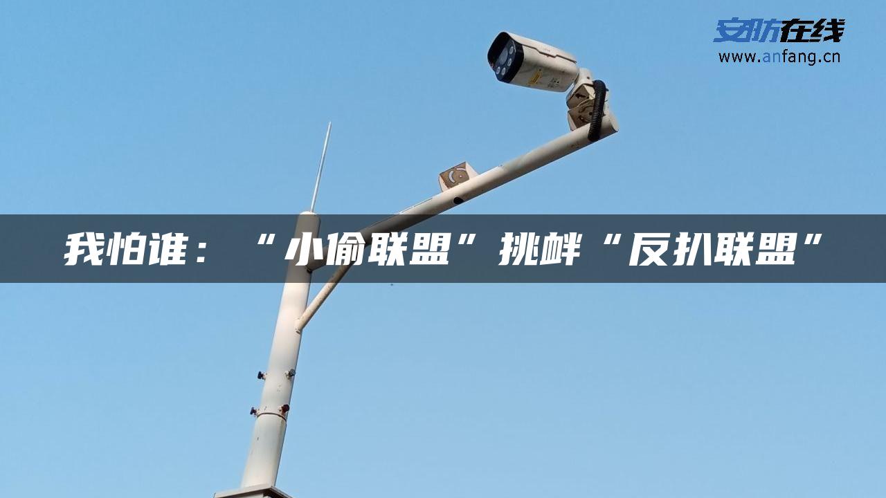 我怕谁：“小偷联盟”挑衅“反扒联盟”