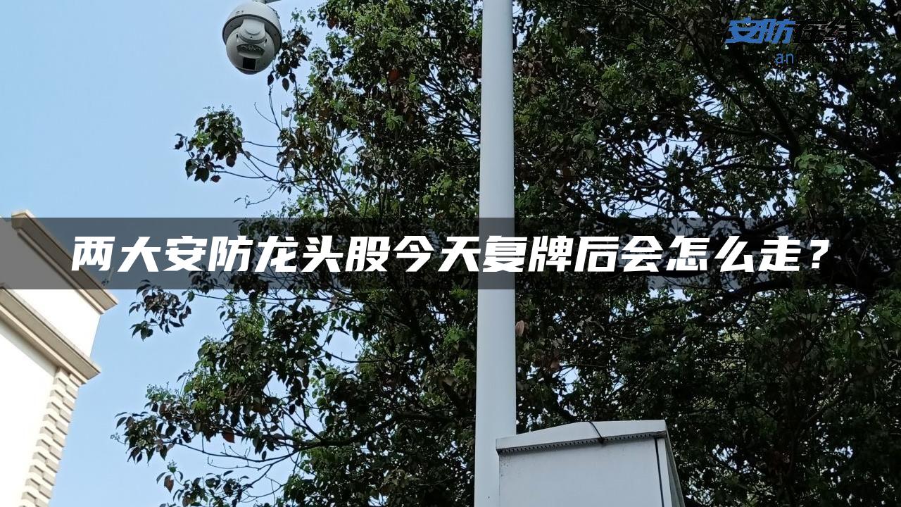 两大安防龙头股今天复牌后会怎么走？