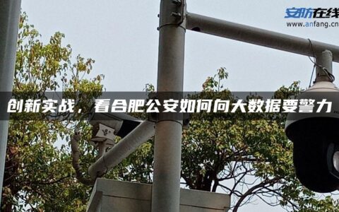 创新实战，看合肥公安如何向大数据要警力