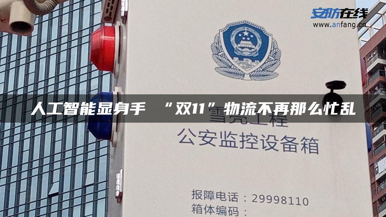 人工智能显身手 “双11”物流不再那么忙乱