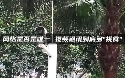 网络是否是唯一 视频通讯到底多”挑食”