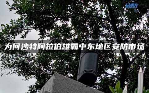 为何沙特阿拉伯雄霸中东地区安防市场