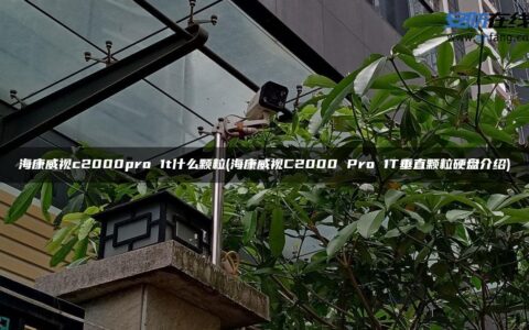 海康威视c2000pro 1t什么颗粒(海康威视C2000 Pro 1T垂直颗粒硬盘介绍)