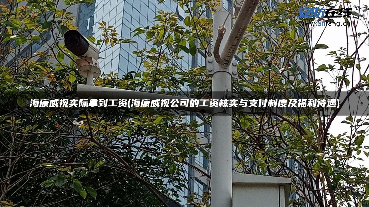 海康威视实际拿到工资(海康威视公司的工资核实与支付制度及福利待遇)