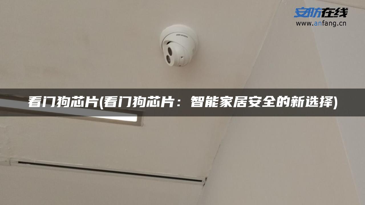 看门狗芯片(看门狗芯片：智能家居安全的新选择)