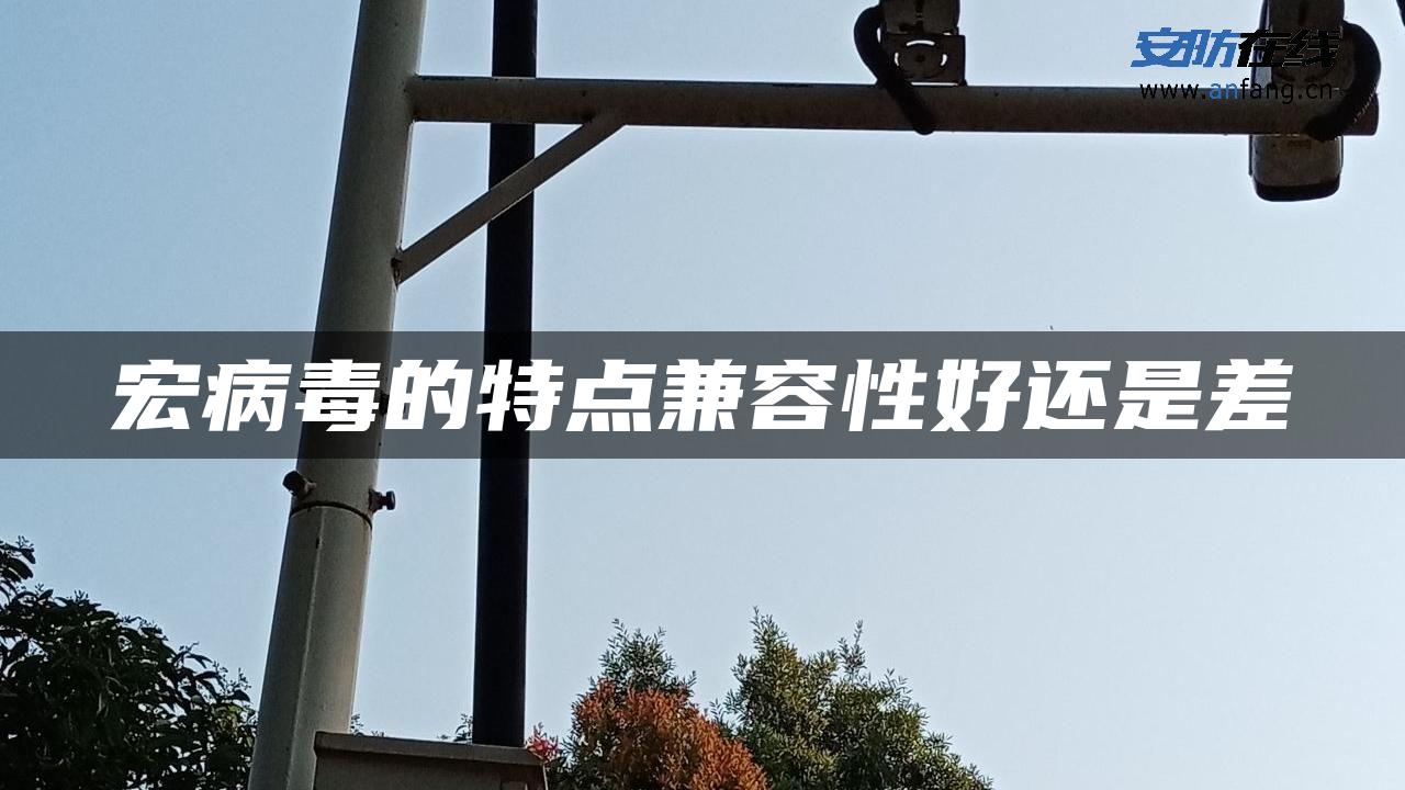 宏病毒的特点兼容性好还是差