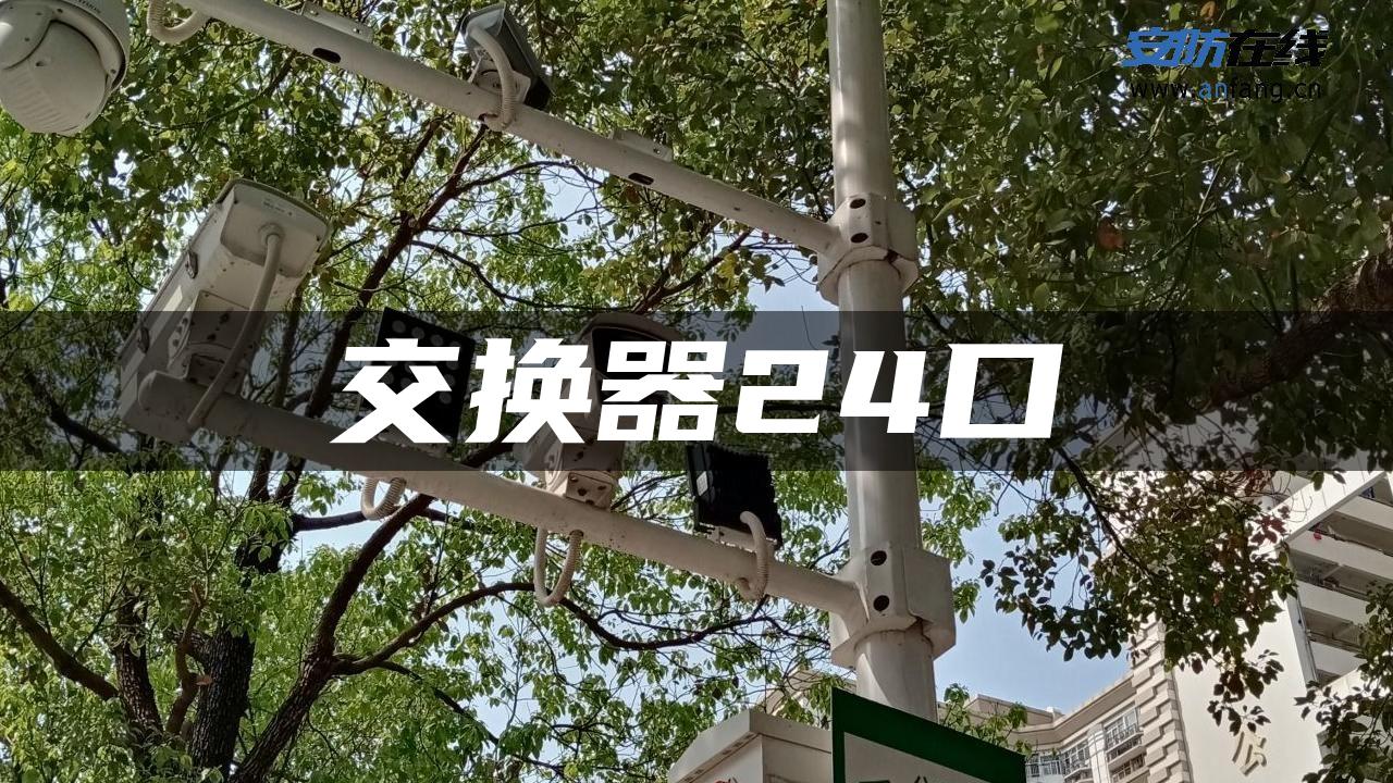 交换器24口