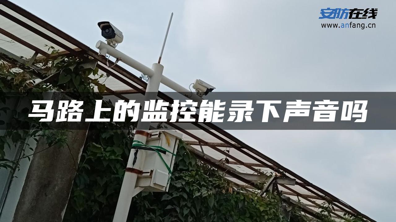 马路上的监控能录下声音吗