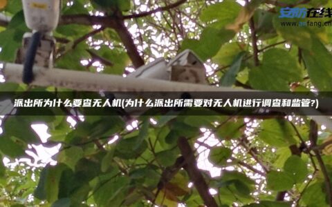 派出所为什么要查无人机(为什么派出所需要对无人机进行调查和监管?)