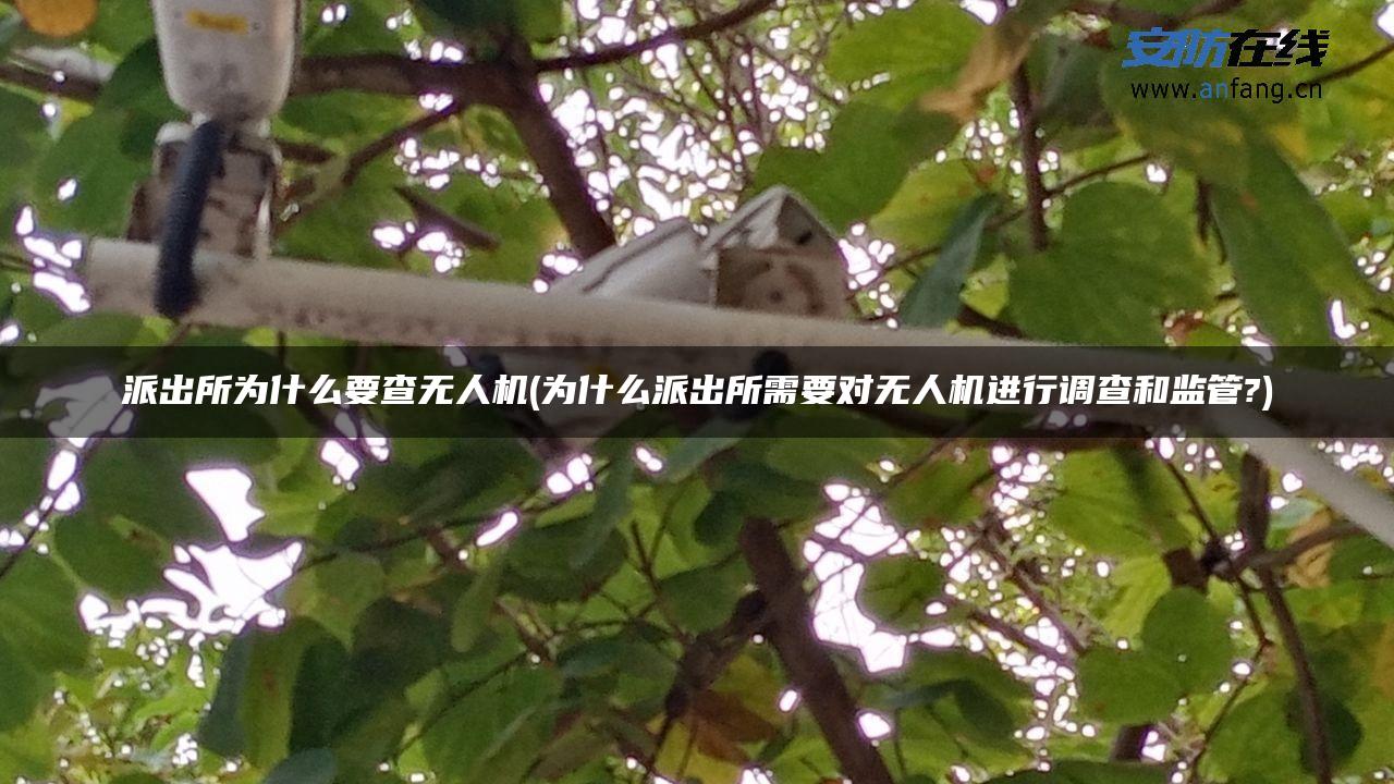 派出所为什么要查无人机(为什么派出所需要对无人机进行调查和监管?) 派出所为什么要查无人机(为什么派出所需要对无人机进行调查和监管?)