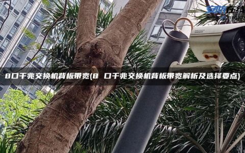 8口千兆交换机背板带宽(8 口千兆交换机背板带宽解析及选择要点)