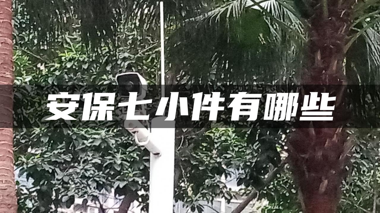 安保七小件有哪些 安保七小件有哪些