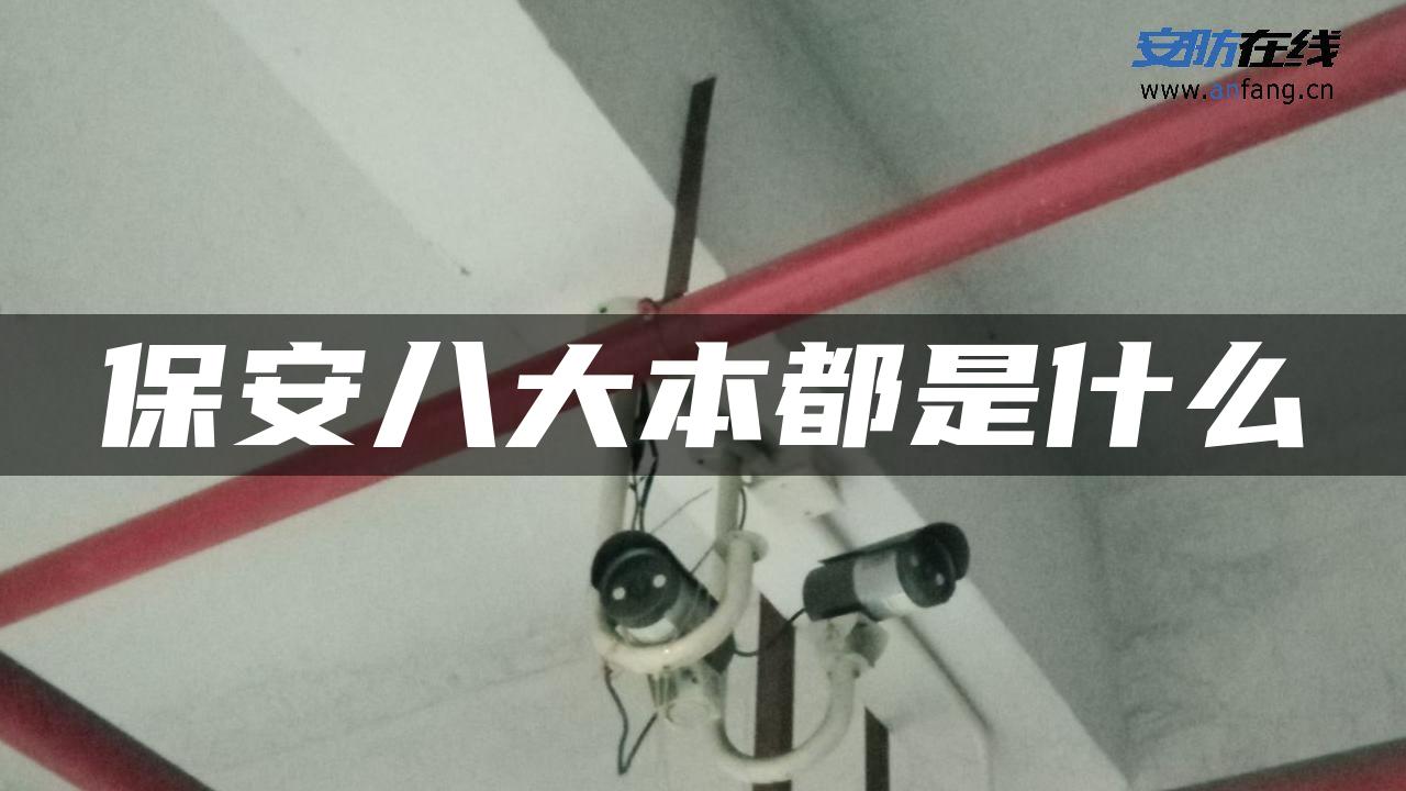 保安八大本都是什么