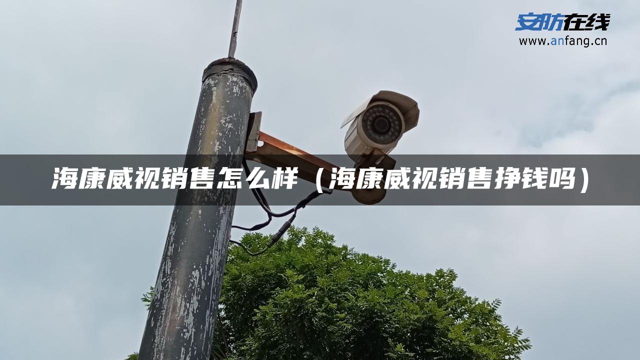 海康威视销售怎么样（海康威视销售挣钱吗）