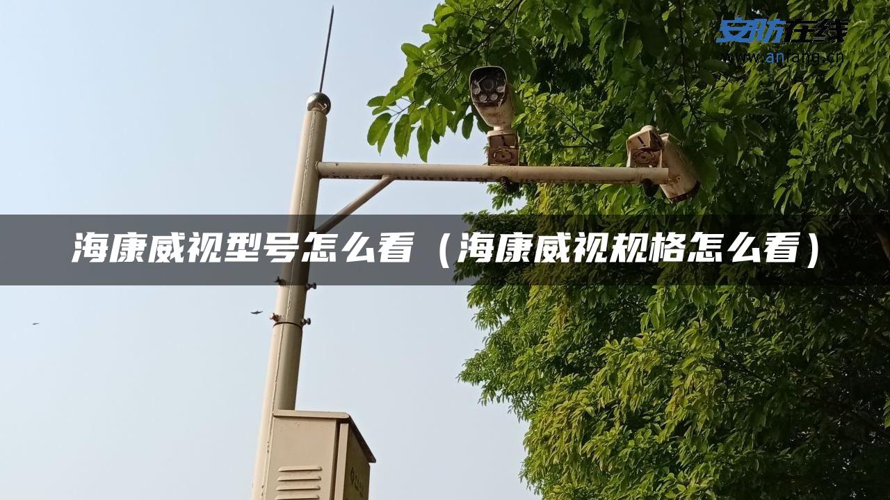 海康威视型号怎么看（海康威视规格怎么看）