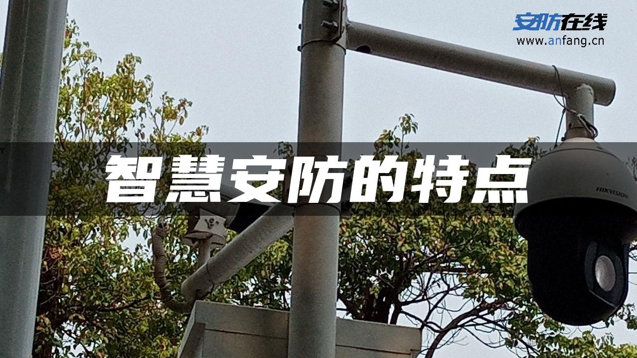 智慧安防的特点