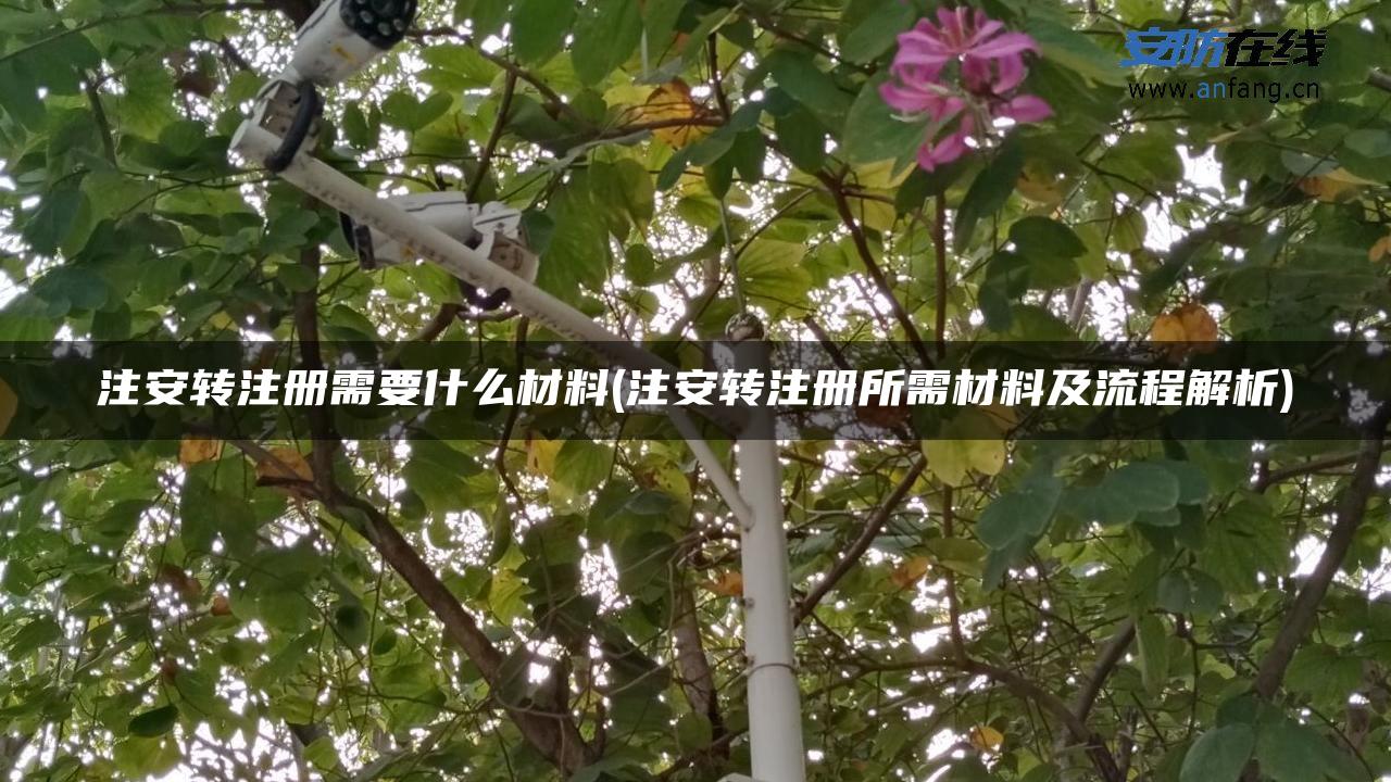 注安转注册需要什么材料(注安转注册所需材料及流程解析) 注安转注册需要什么材料(注安转注册所需材料及流程解析)