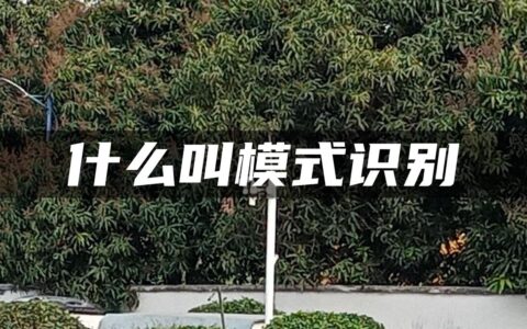 什么叫模式识别