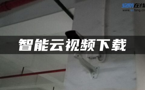 智能云视频下载