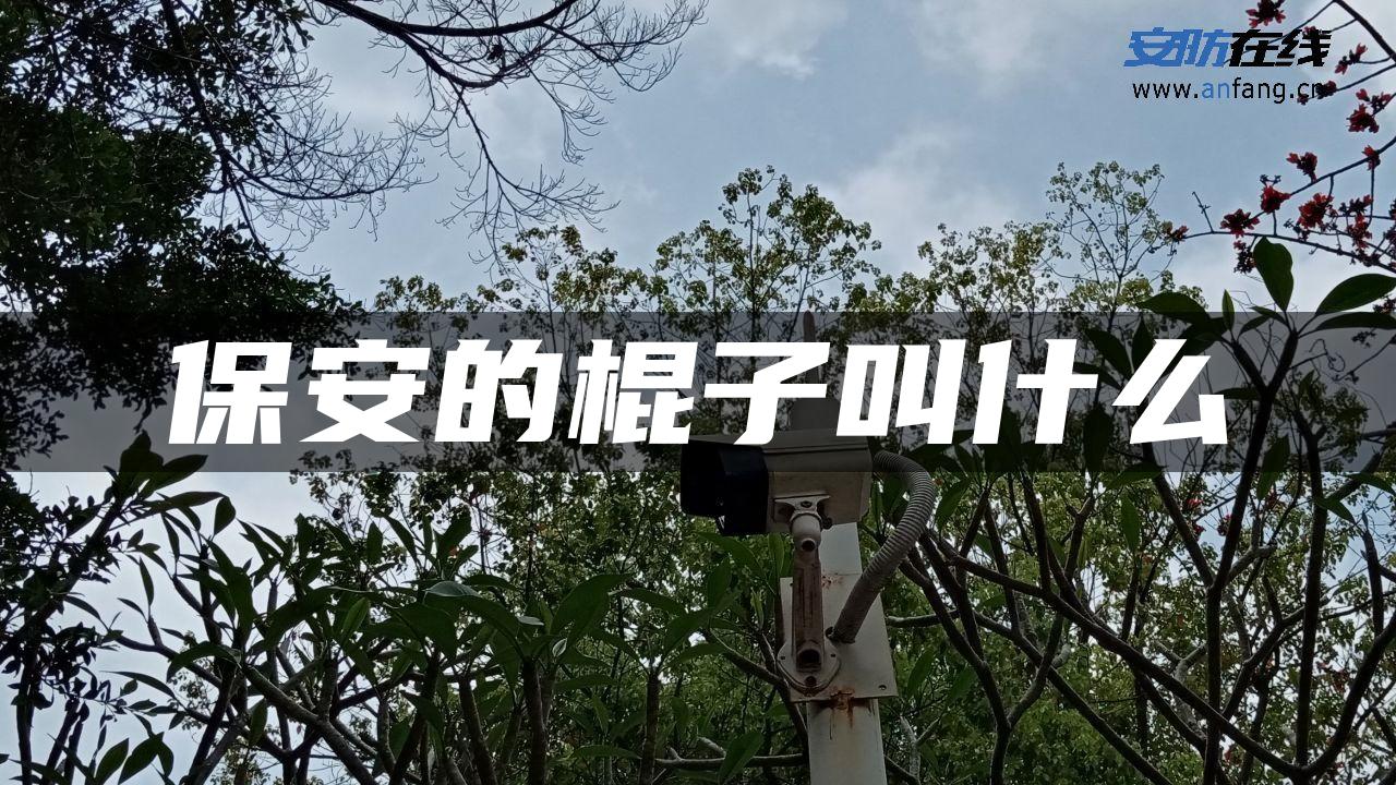 保安的棍子叫什么