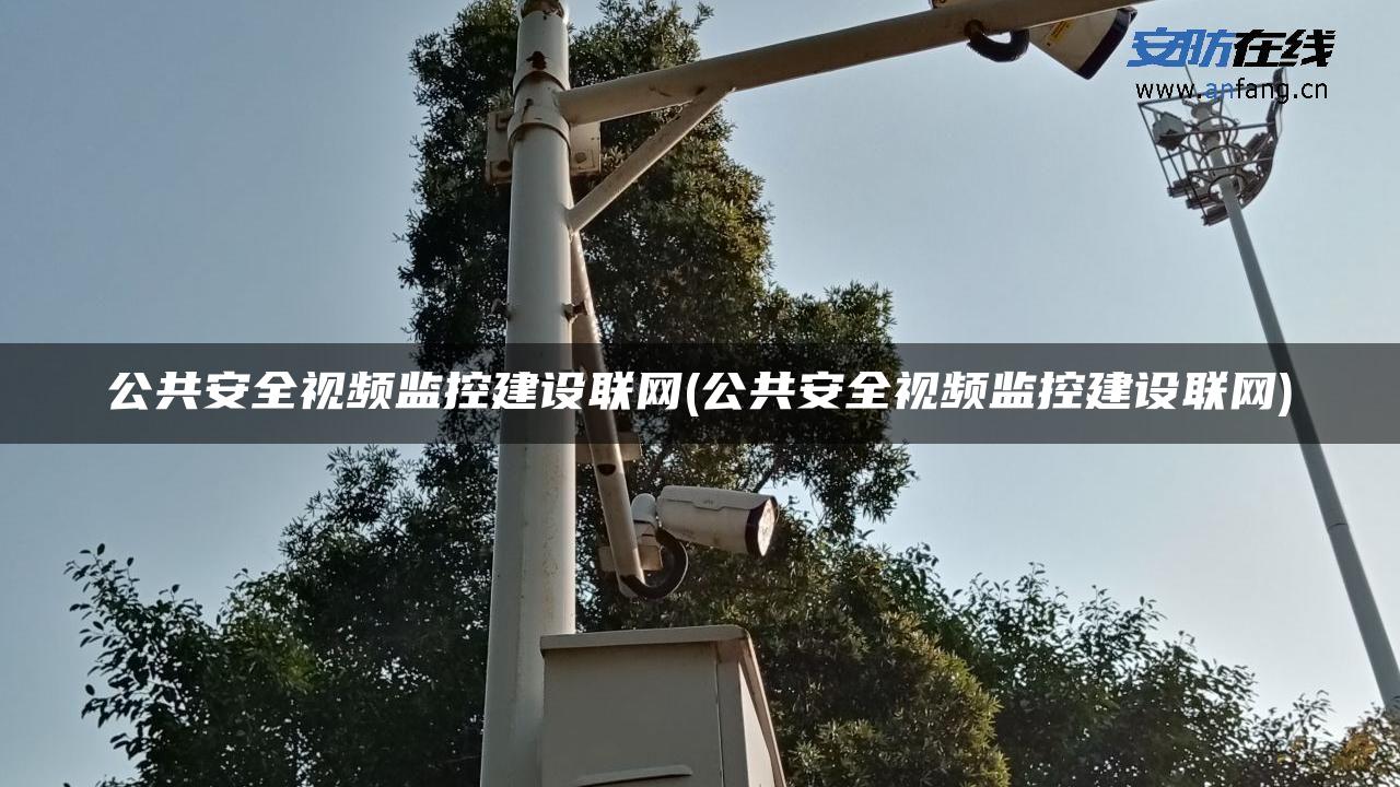 公共安全视频监控建设联网(公共安全视频监控建设联网)