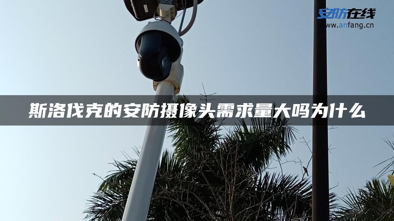 斯洛伐克的安防摄像头需求量大吗为什么
