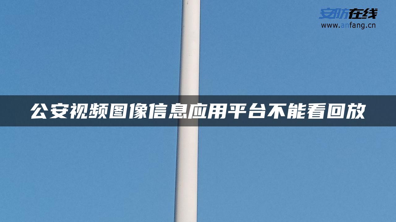 公安视频图像信息应用平台不能看回放