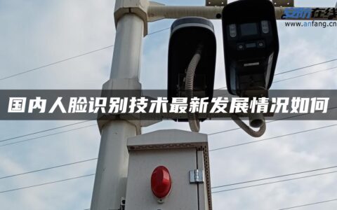 国内人脸识别技术最新发展情况如何