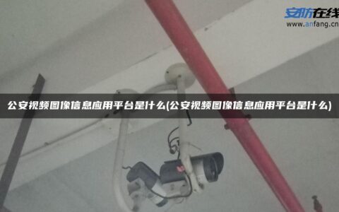 公安视频图像信息应用平台是什么(公安视频图像信息应用平台是什么)