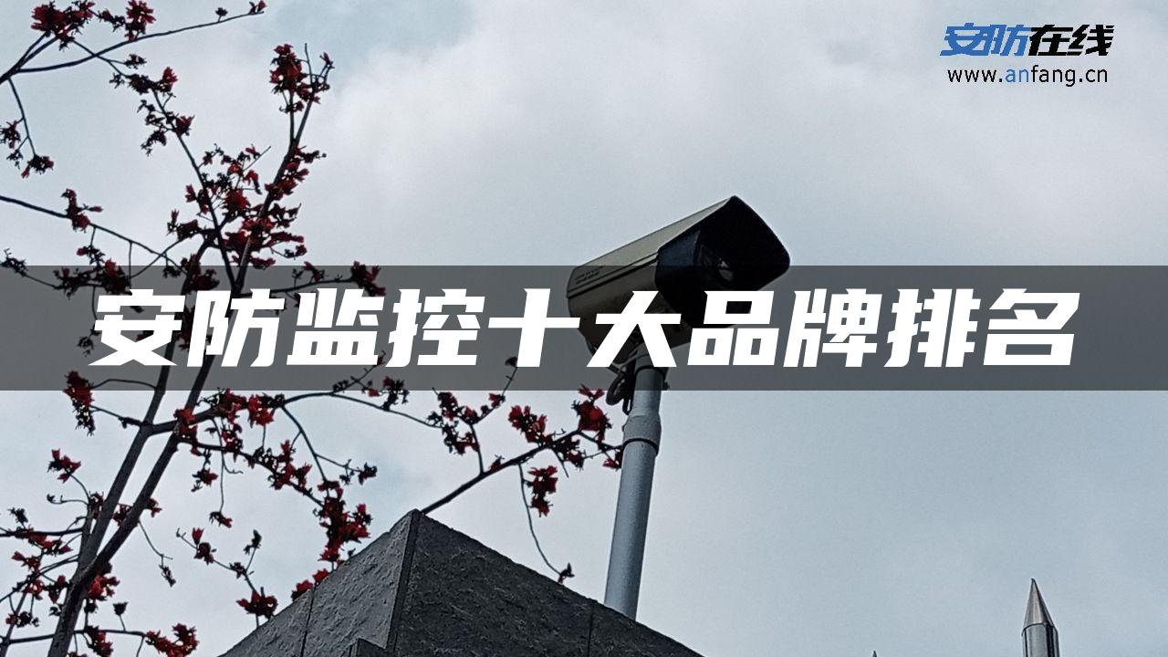 安防监控十大品牌排名