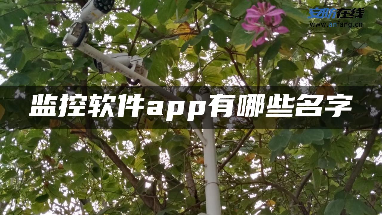 监控软件app有哪些名字