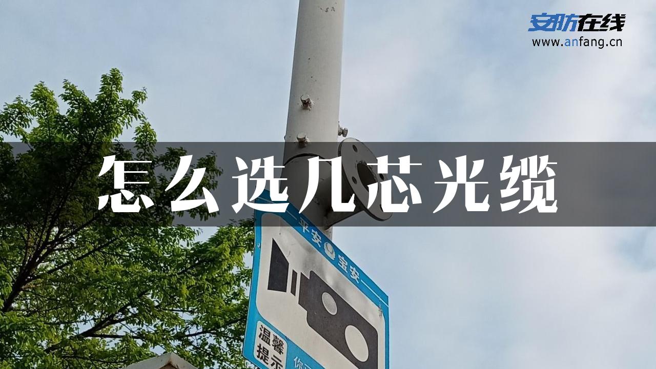 怎么选几芯光缆